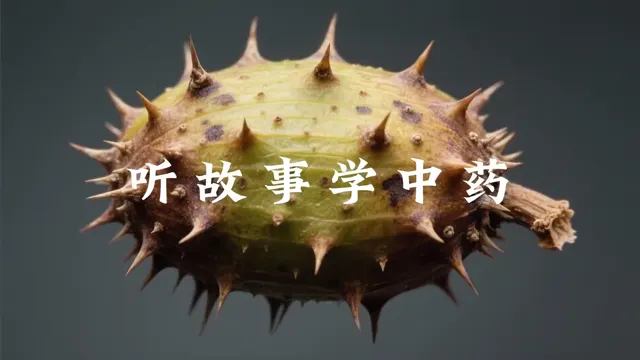听故事学中药视频