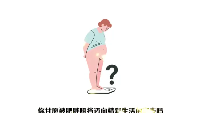 减肥大师