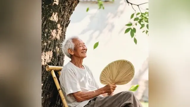 动态视频田园怀旧治愈